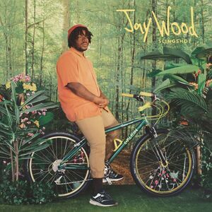 Jay Wood - Slingshot  CD